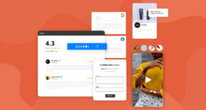embedsocial-review-japanese-version