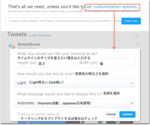 set-twitter-timeline-embed-options