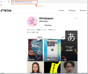 tiktok-web-account-search