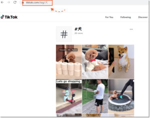 tiktok-search-by-hashtag
