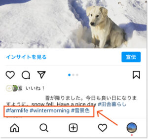 instagram-hashtag-in-feed