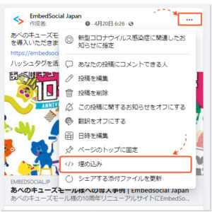 facebook-post-select-embed-option