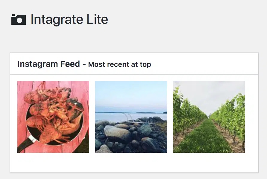 integrate-lite-instagram-plugin