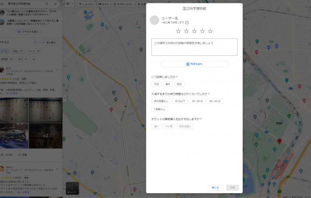 google-review-form-on-google-map