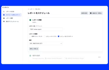online-review-report