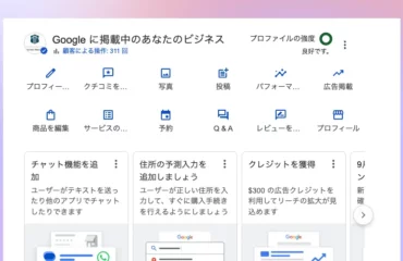 Google business profile in serp