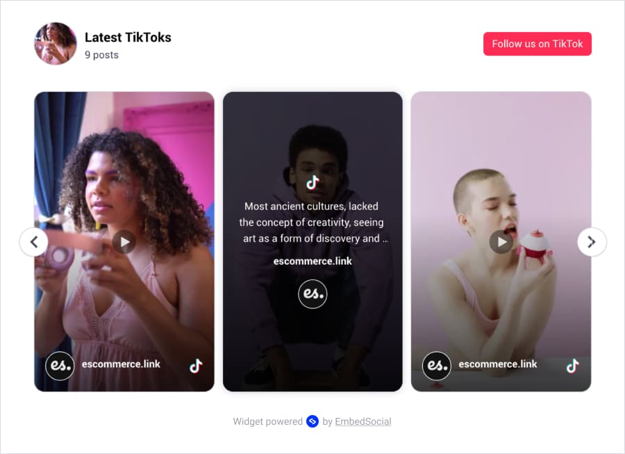 tiktok videos feed widget