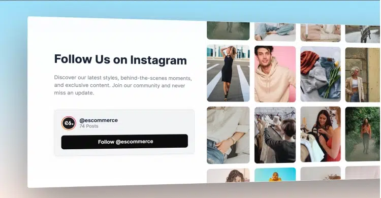 EmbedSocial AIテンプレート：Instagram Section